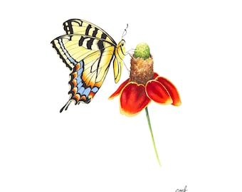 Butterfly on Mexican Hat Flower Print: Wildflower Wall Art