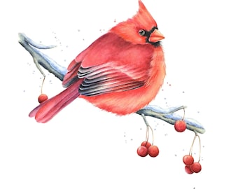 Winter Cardinal Painting by Christy Barber | Cardinal and Berries Watercolor Print, Cardinal and Snow, Bird Artwork, Tiny Mini Wall Art