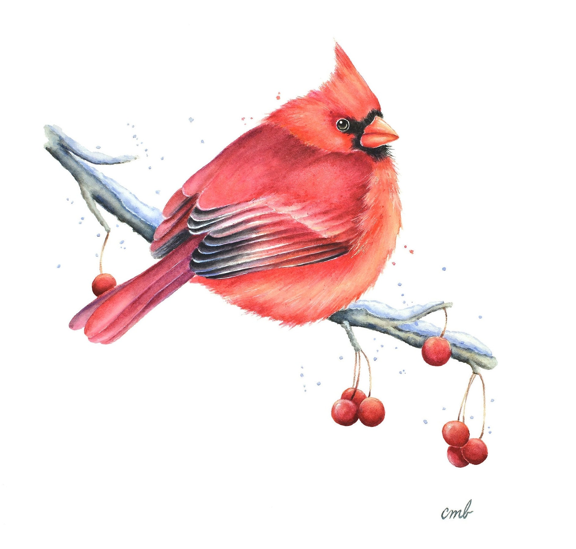 Winter Berry Watercolor Illustrations