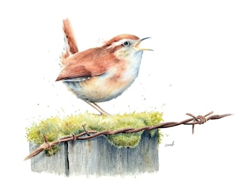 Wren on Fence Watercolor Painting | Winter Wren, Jenny Wren Painting, Bird Print, Bird Artwork, Bird Art Decor, Earth Tones, Minimalist