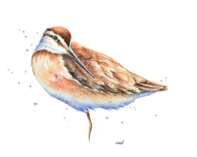 Beach Bird Watercolor Painting| Shore Bird Print, Coastal Wall Art, Beach Wall Art, Beach Decor, Coastal Art, Beach House, Dowitcher, Ocean