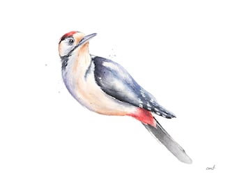 Woodpecker Watercolor Print: Nature-Inspired Bird Wall Art