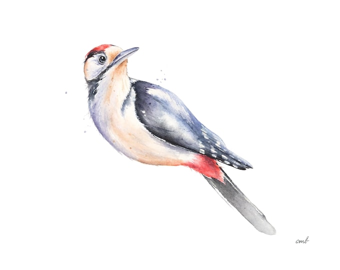 Woodpecker Watercolor Painting by Christy Barber | Bird painting, Nature Print, Wildlife Wall Art, Woodlands, Backyard Birder, Loose Realism