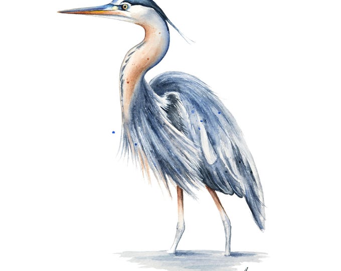 Heron Watercolor Painting | Blue Heron Bird Wall Art, Coastal Nature Decor, Wildlife Print, Birdwatcher Gift, Animal Wall Art Illustration