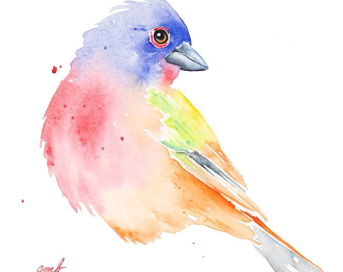 Painted Bunting Watercolor Original by Christy Barber | Bird Study Wall Art, Animal, Illustration, Painting, Nature Decor, Artist's Study