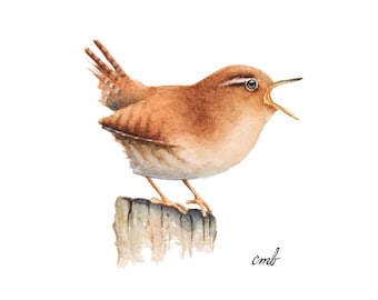 Winter Wren Watercolor Painting: Original Miniature Bird Art, Square Nature Wall Decor