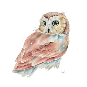 Saw-whet Owl Watercolor Painting: Nature-Inspired Wall Art