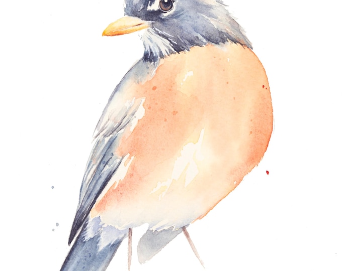 Original American Robin Watercolor Study by Christy Barber | Bird Painting, Original Wall Art, Tiny Mini Home Decor, Artist's Study, Gift