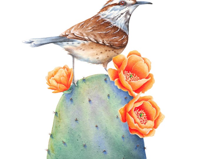 Blooming Cactus Wren Watercolor Art Print: Desert Bird Illustration