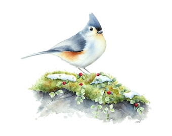 Titmouse Watercolor Painting| Bird Winter Berries, Snowy Winter Bird Watercolor Print, Bird Print, Bird Painting, Snow and Songbird Print