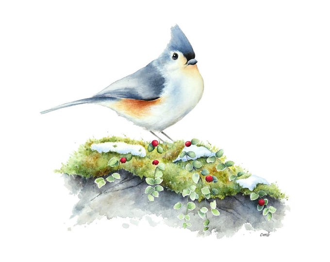 Titmouse Watercolor Painting| Bird Winter Berries, Snowy Winter Bird Watercolor Print, Bird Print, Bird Painting, Snow and Songbird Print