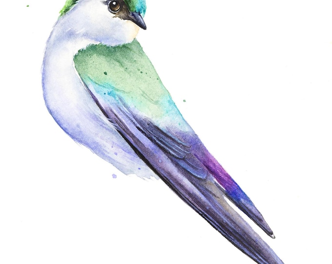 Original Tree Swallow Watercolor by Christy Barber| Bird Painting, Wall Art, Home Decor, Animal Artwork, Animal Minimalist Painting, Gift