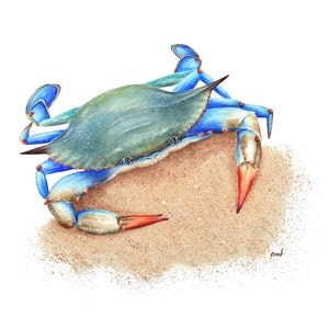 Blue Crab Watercolor Painting| Blue Crab Print, Sea Animal Ocean Art, Nautical Wall Art, Beach Home Art, Coastal Artwork, Beach House,