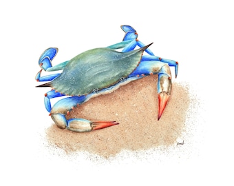 Blue Crab Watercolor Print: Coastal Nautical Wall Art