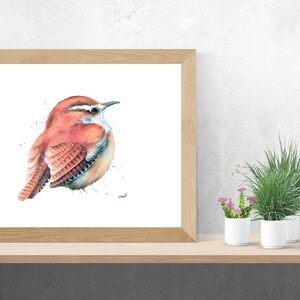 Wren Watercolor Print By Christy Barber Animal Watercolor Painting
