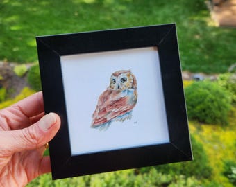 Framed Saw-whet Owl Watercolor Painting | Animal l Wall Decor, Wildlife Nature Lover Painting, Birdwatcher, Woodland Nursery Art, Gift