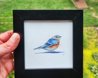 Framed Bluebird Watercolor Painting by Christy Barber | Eastern Blue Bird Wall Art, Songbird Nature Print, Backyard, Woodland Animal Decor