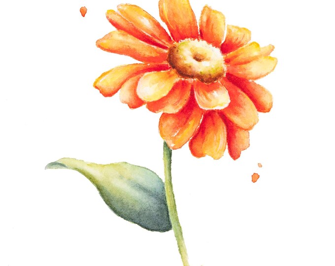 Original Zinnia Watercolor Study by Christy Barber| Flower Painting, Wall Art Home Decor, Illustration, Artwork, Botanical, Artist Study