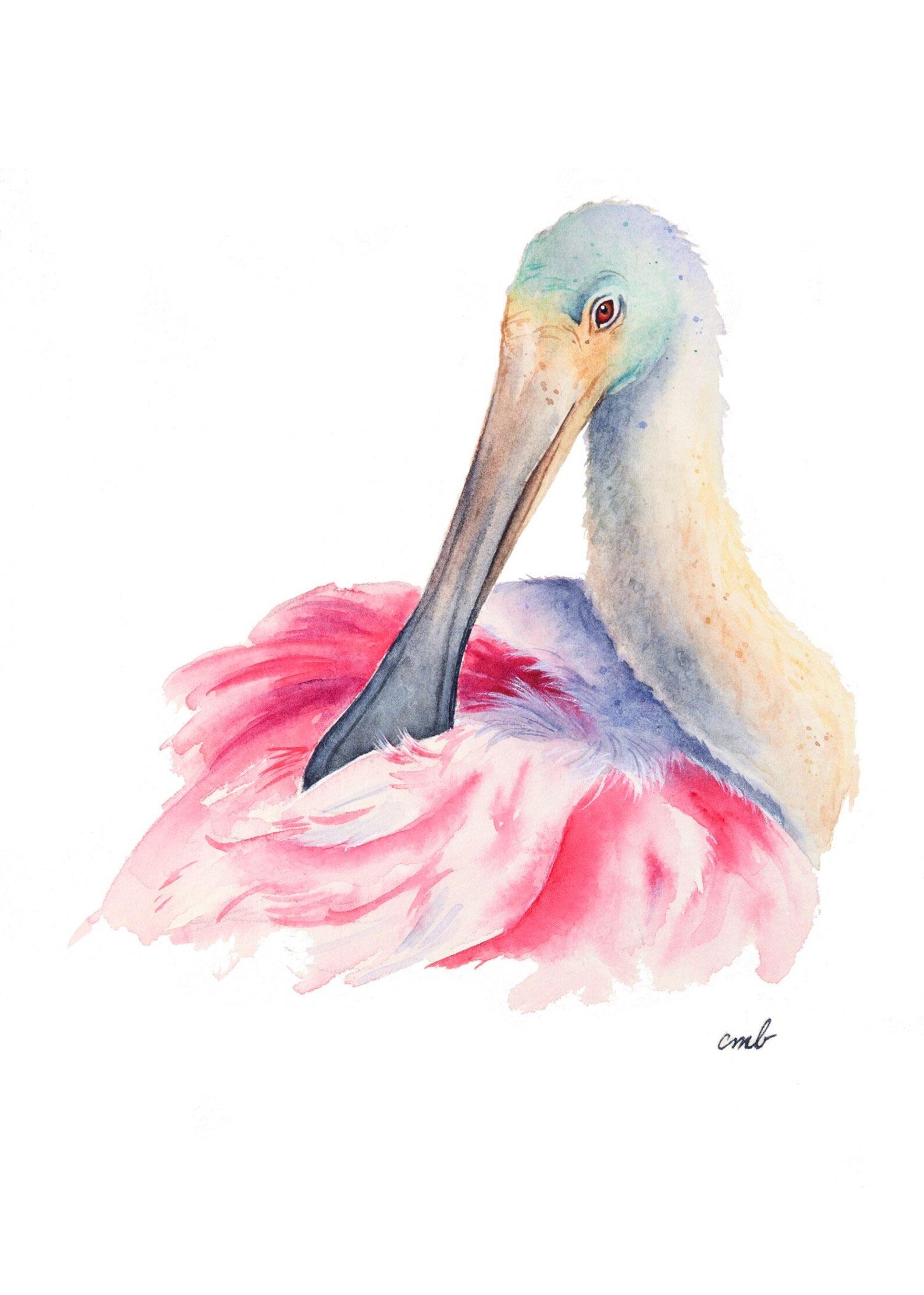 Roseate Spoonbill Watercolor Painting: Original Bird Wall Art by ...