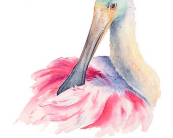 Roseate Spoonbill Watercolor Painting: Original Bird Wall Art by Christy Barber