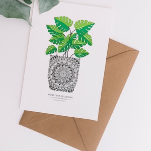 1x tarjeta de planta, tarjetas de impresión en blanco, tarjeta de planta única, notelets de la planta, tamaño A6, Aloe Vera, planta de queso, planta de Ficus, planta de serpiente