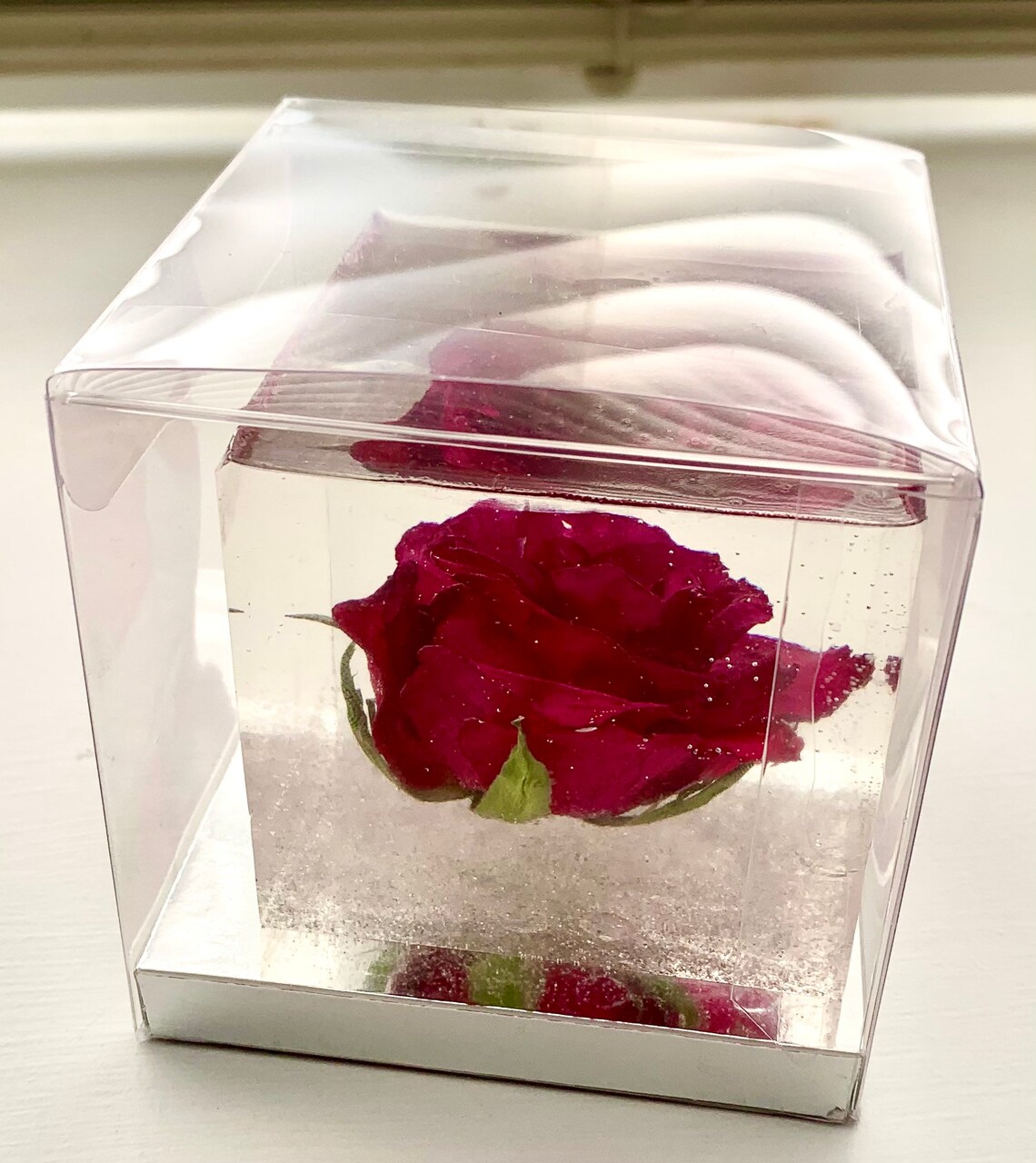 REAL rose preserved in resin Etsy
