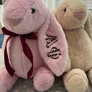 Peut inclure: Deux lapins en peluche avec une fourrure douce. Le lapin de gauche est rose clair avec un ruban bordeaux foncé noué autour du cou et les lettres grecques Alpha Phi brodées en fil bordeaux foncé sur sa longue oreille tombante.