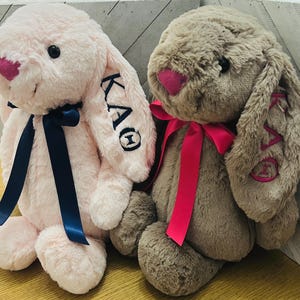 May include: Two plush stuffed bunnies with soft fur. The left bunny is light pink with a dark blue ribbon and black embroidered Greek letters KAO on its ear. The right bunny is light brown with a bright pink ribbon and pink embroidered Greek letters KAO on its ear. Both have dark eyes and pink noses.