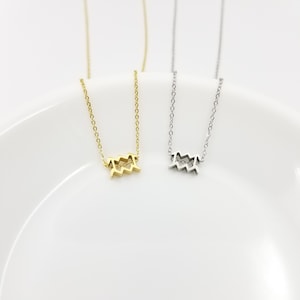 May include: Two delicate necklaces with a small Aquarius zodiac sign pendant. One necklace is gold and the other is silver.