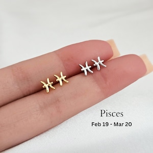 Constellation Pisces Earring Studs Sterling Silver Zodiac Pisces Earrings Tiny Silver Stud Earrings minimalist Earrings Star Stud Earrings