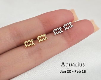 Zodiac Earrings Aquarius Zodiac Stud Earrings in Sterling Silver Aquarius Stud Earrings, Zodiac gift, Zodiac jewelry