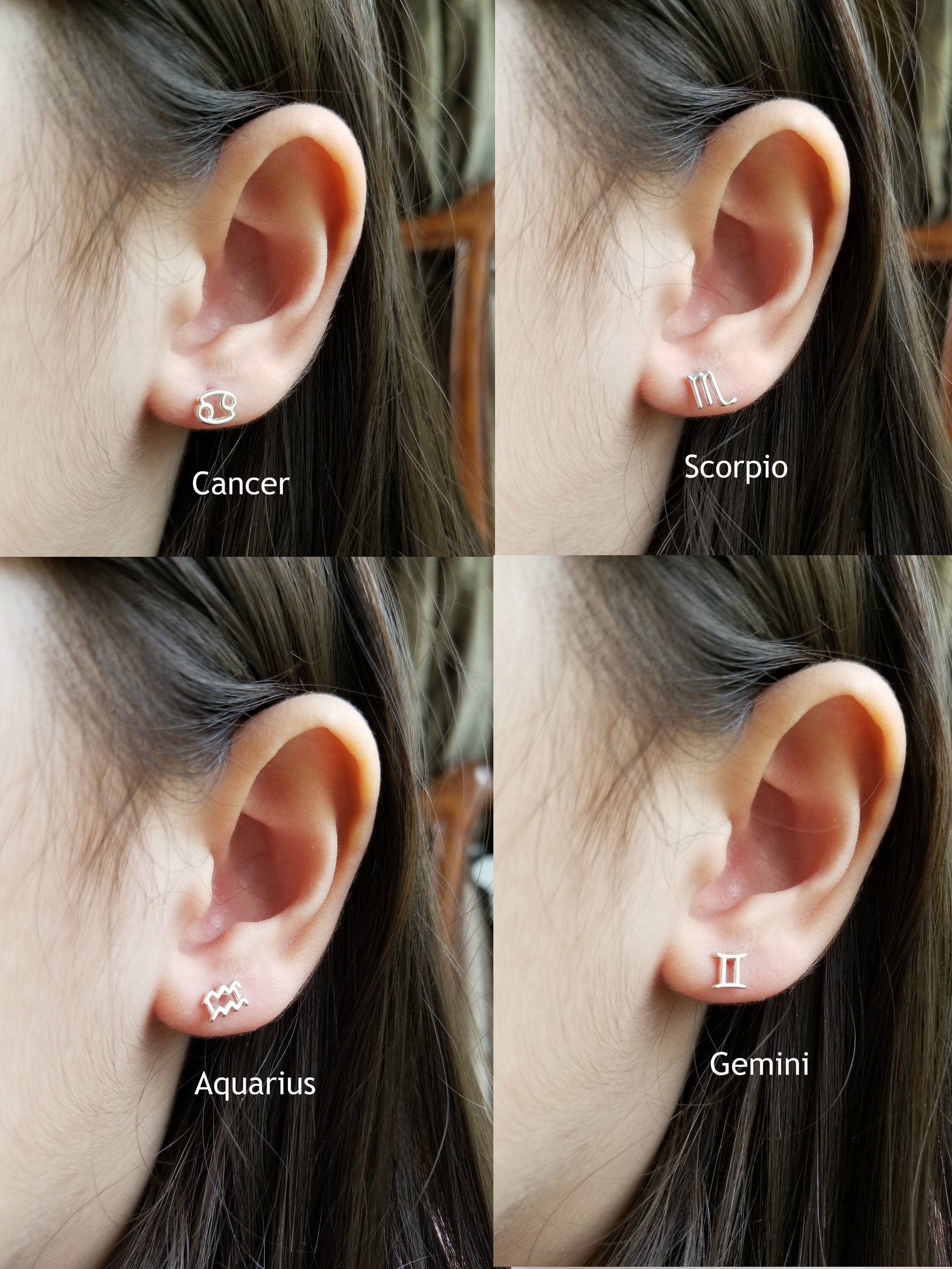 Zodiac Earrings Sterling Silver Zodiac Earrings Studs Etsy UK