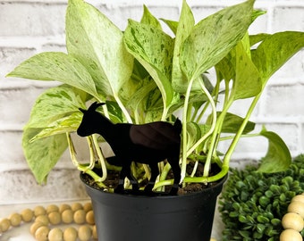 Gloss Black Acrylic Goat Plant Stake, Farmhouse Decor