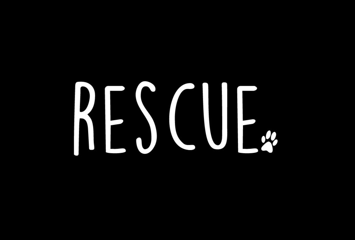 Rescue Vinyl Decal Laptop Decal Simple Rescue Decal Etsy