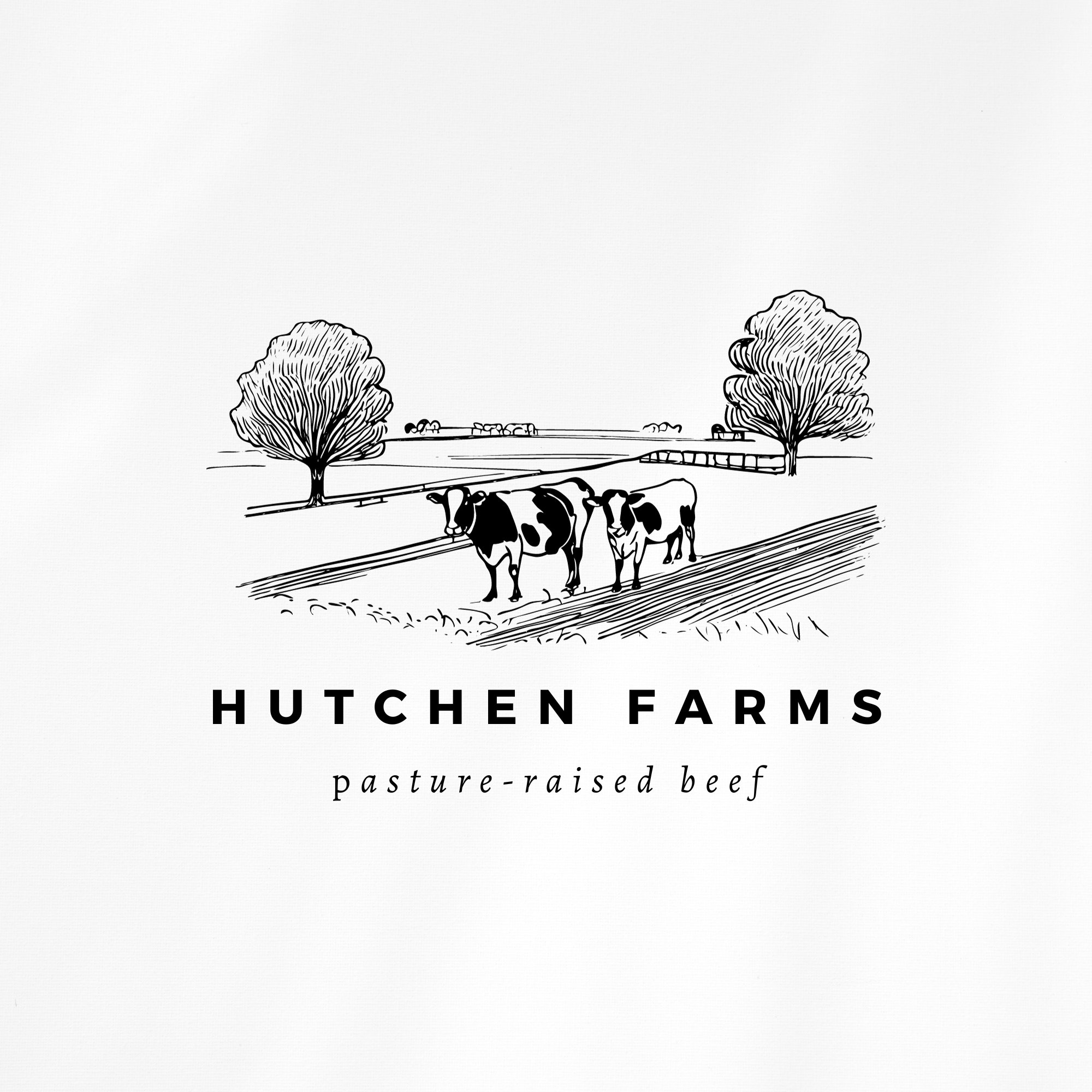 Pastureraised Beef Farm Logo Design Custom Farm Logo Design Cattle