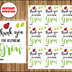 Grazie per avermi aiutato a coltivare piante a foglia Natura Gioco di parole Regali per insegnanti di scuola Giochi di parole grazie alle piante, Tag regalo stampabili digitali DOWNLOAD immediato