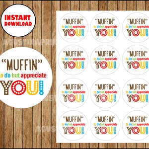 May include: Nine round white stickers with brown, yellow, red, and blue text that reads "Muffin" to do but appreciate YOU!"