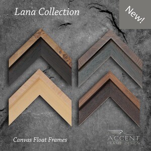 Canvas Float Picture Frame: Exotic Lustrous Veneers.