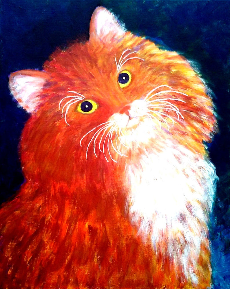 ORANGE AND WHITE CAT