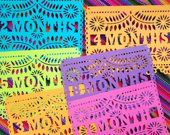 May include: Five colorful paper banners with cut-out designs. The banners read "2 Months", "4 Months", "5 Months", "8 Months", and "11 Months".