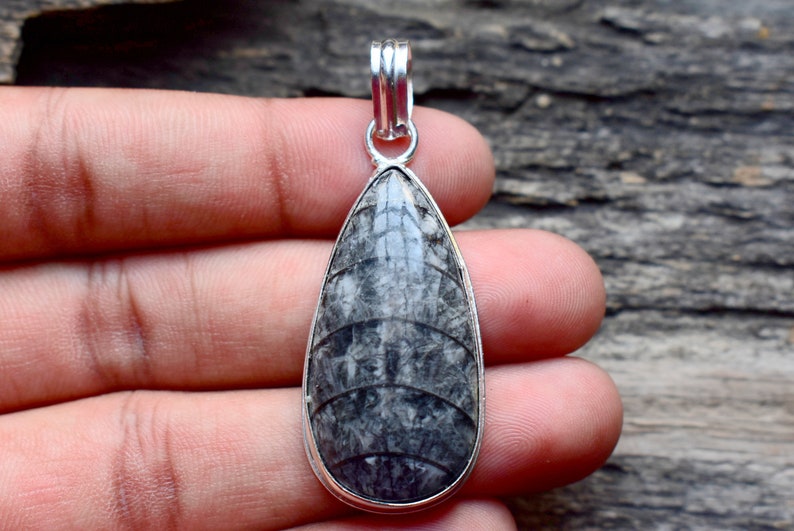 Natural orthoceras Pendant 925 solid sterling silver pendant silver gemstone pendant A1249