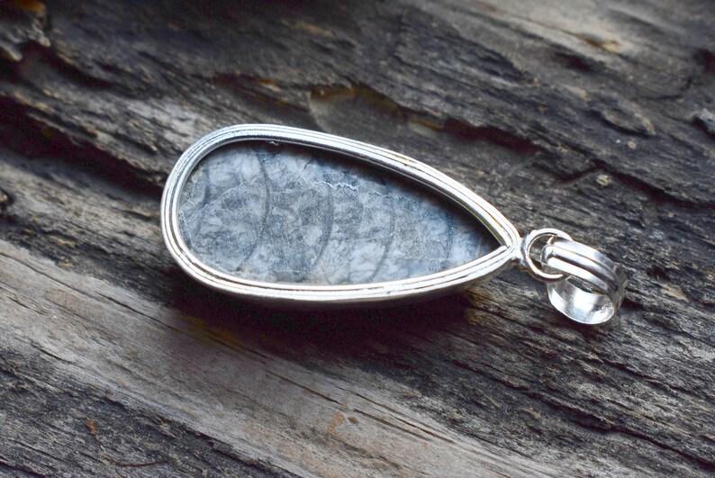 Natural orthoceras Pendant 925 solid sterling silver pendant silver gemstone pendant A1249