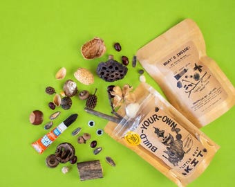 Puede incluir: Un kit de creación Little Guy en una bolsa beige con una etiqueta ilustrada, una segunda bolsa beige etiquetada What's Inside, un tubo de superpegamento, dos ojos móviles y varios elementos naturales como nueces, semillas y ramitas.