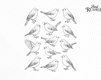 Birds 90s Vintage Tattoo Style PNG, Retro Y2k Bird Png, Bird Lovers Gift, Cute Bird Sublimation, Nature Garden Wildlife (Digital Download)