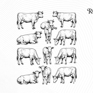 May include: A monochrome illustration of several cows in different positions. Some are standing, others are reclining, and some are grazing. The image has a vintage, hand-drawn aesthetic, with the text "Trend Rusher" in the top right corner.