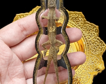 Cased Lizard Gecko 2 Tail Magic Charm Gambling Talisman Protect Pendant Thai Buddha Amulet #aa4220 R2
