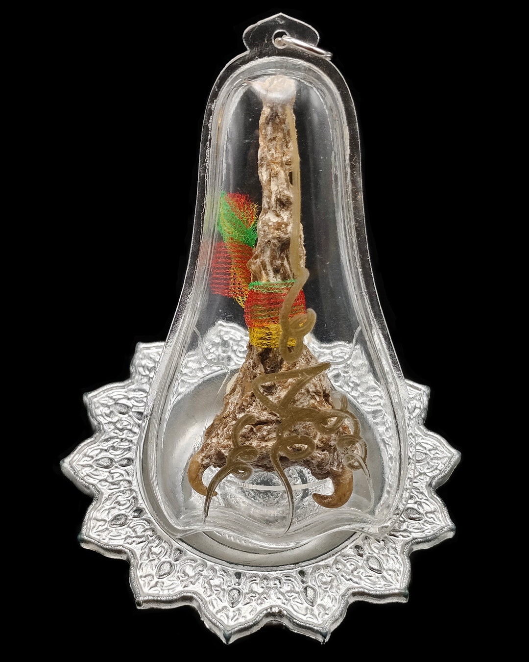 Thai Amulet Python Snake Fang Skin LP Goy Magic Lucky Power Wealth ...