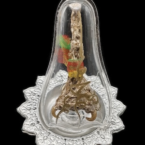 Thai Amulet Python Snake Fang Skin LP Goy Magic Lucky Power Wealth Pendant #aa4222