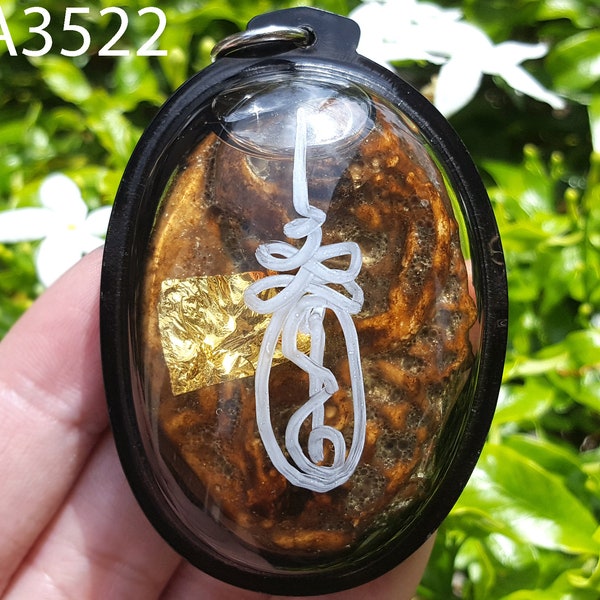 Cased Lope Maeo Yantra Charm Oil Yantra Gamble Fortune Lucky Black Magic Pendant Thai Buddha Amulet #aa3522c