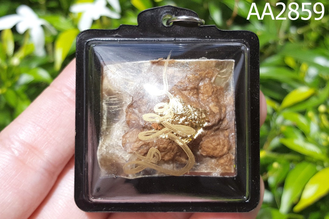 Python Snake Fang Skin LP Goy Talisman Protect Thai Buddha Amulet ...